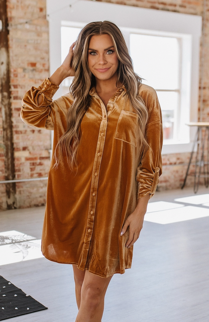 Gloria Button Front Velvet Dress | S-2XL