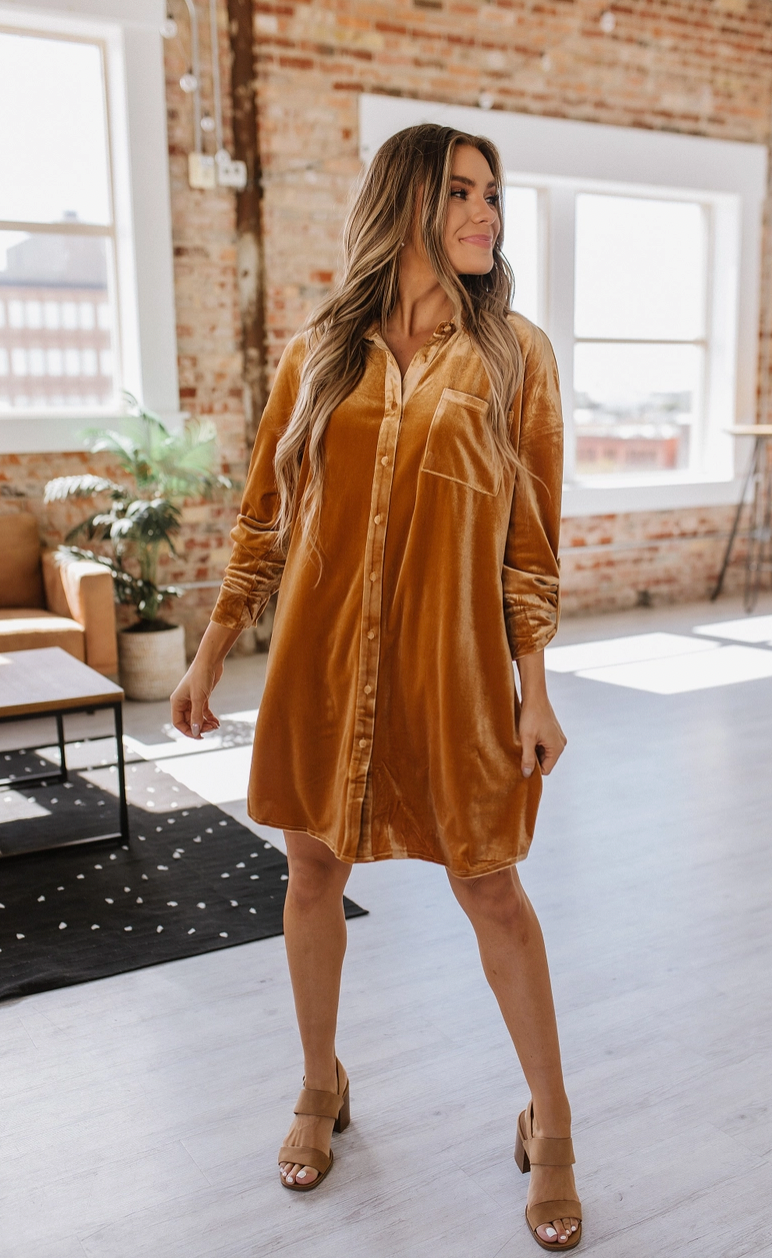Gloria Button Front Velvet Dress | S-2XL