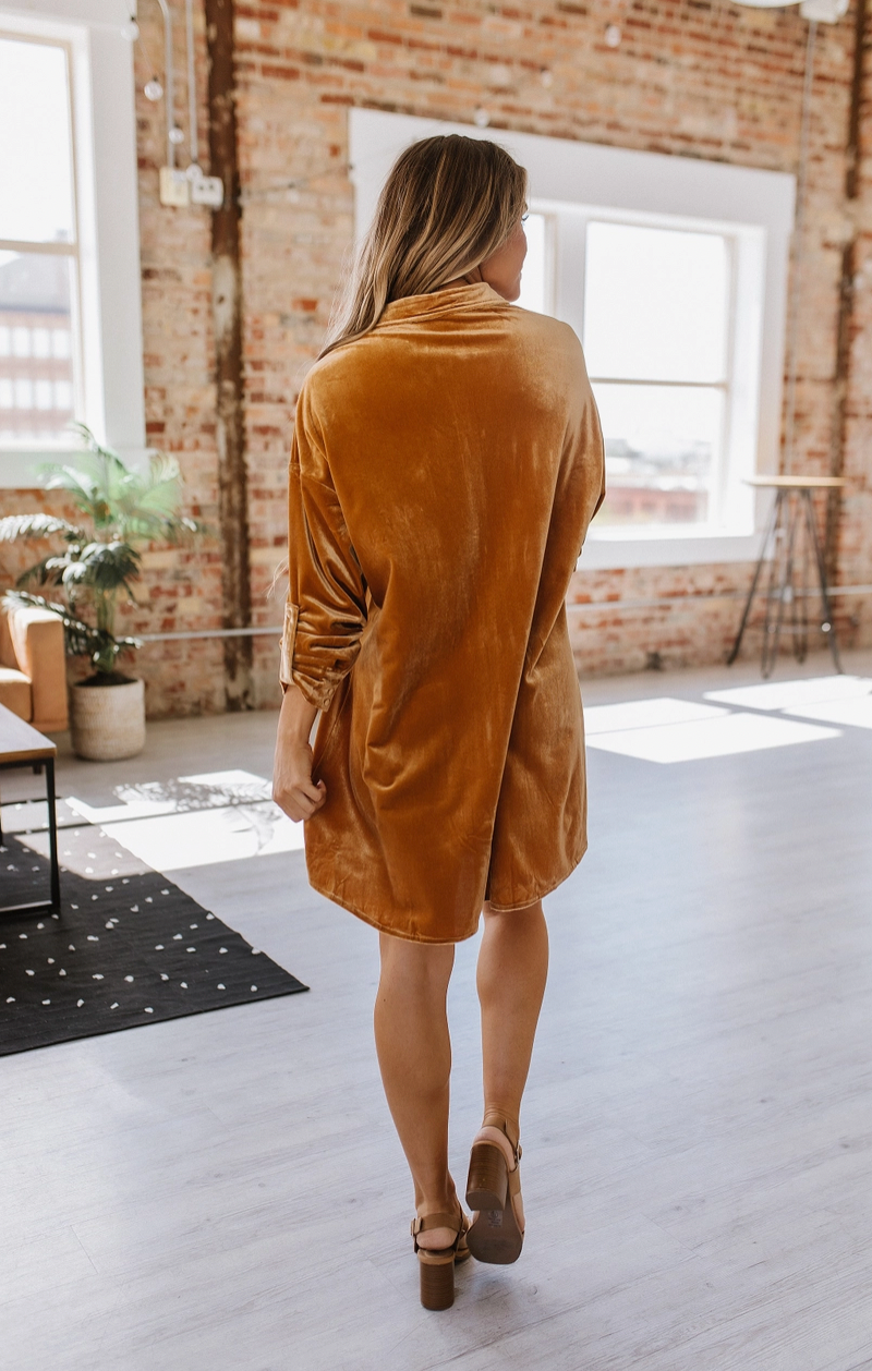 Gloria Button Front Velvet Dress | S-2XL