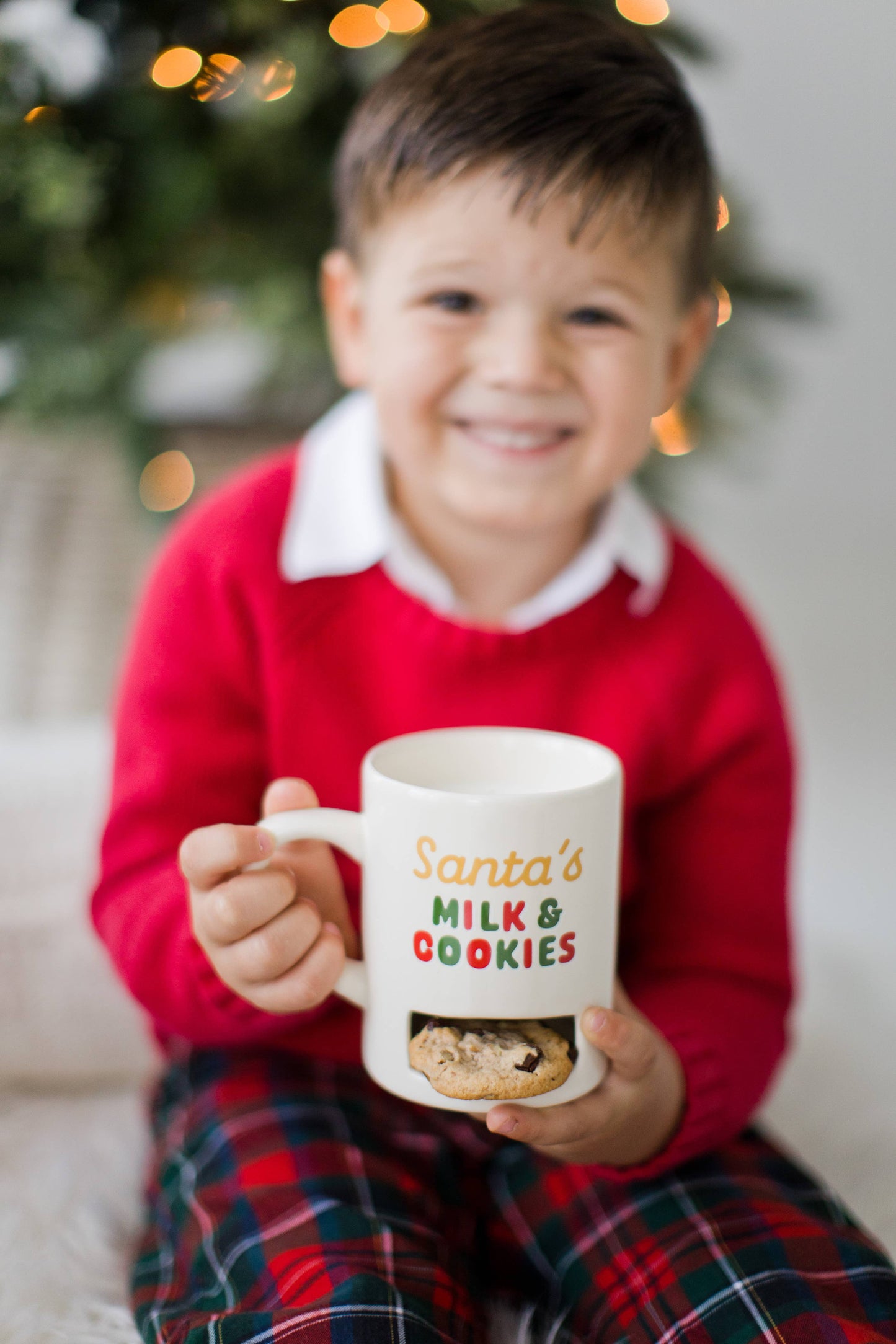 Santa’s Milk & Cookies Mug, Christmas Mug